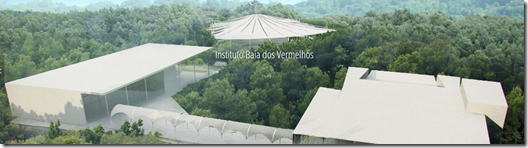 Instituto Vermelho's
